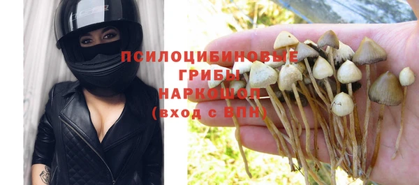 ешки Алексин
