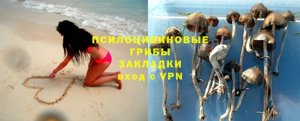 ешки Алексин